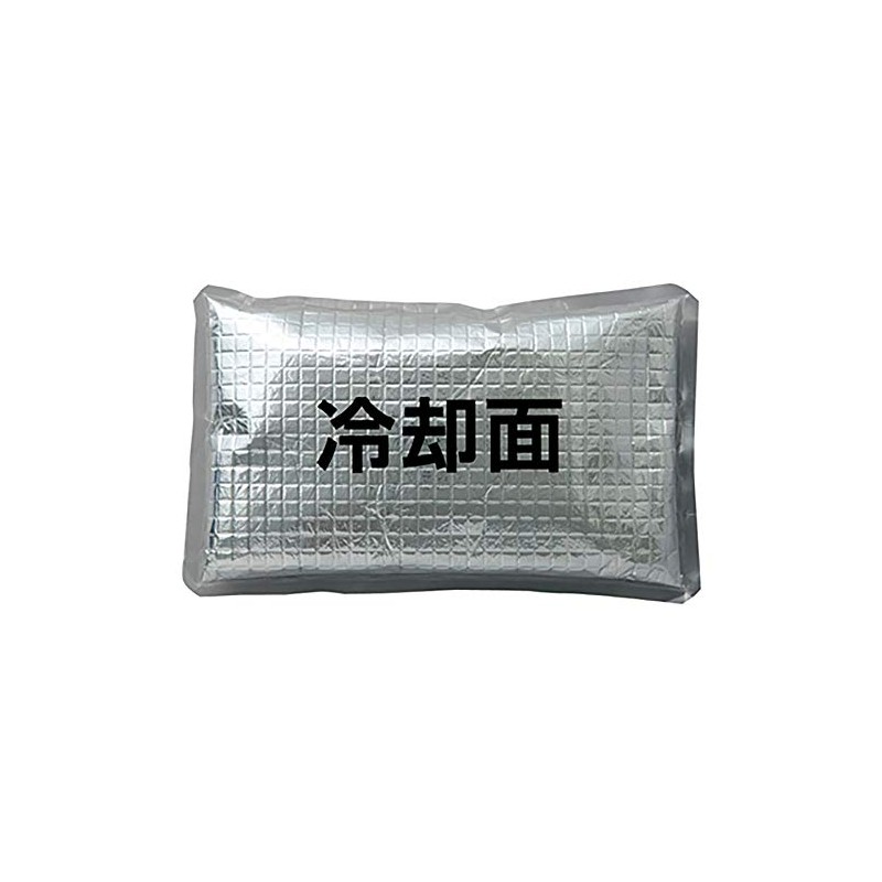 AITOZ AZ865933 101 Silver F Ice Packs, Set of 4,