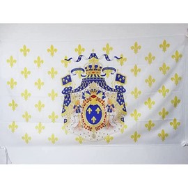 Kingdom of France Coat of arms Flag 3' x 5' for a pole - french royal flags 90 x 150 cm - Banner 3x5 ft with hole - AZ FLAG