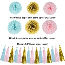 Gender Reveal Decorations Blue Pink - 23pcs Tissue Paper Flowers Pom Poms Boy Or Girl Banner Tassel Garland Streamers Baby Gender Reveal Party Supplies Gender Reveal Theme Gold Hanging Decor Ideas