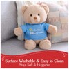 GUND “I'm The Big Brother” Sustainable Message Bear with Blue