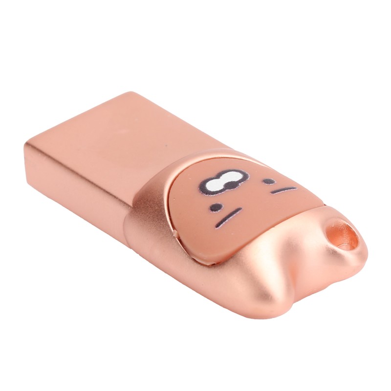 U Disk Portable Data Reading Transmission Device Card Reader Cartoon