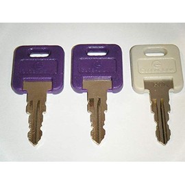 GLOBAL LINK LOCK Global Link G316 Keys with G391 Storage Compartments Key RVs Motorhome Trailer Key Cut to Key/Lock Number 2 Purple RV Keys 1 Gray G391 Replacement Keys