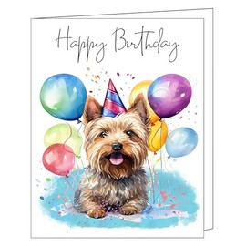 Doggie of the Day Happy Birthday Greeting Cards Silky Terrier - Cute Note Cards for Dog Lovers - Blank Inside Envelope Included, GCHB00279 10 Greeting Cards
