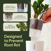 Self-Watering Planter for Leca and Pon - 4-Pack (6 inch)