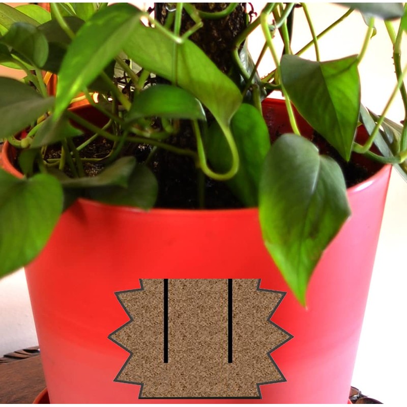 Mosser Lee Sphagnum Moss Pole for Indoor Plants, Monstera Moss