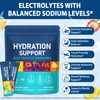 Hydration Multiplier Electrolytes Powder, Mix Variety Pack with 7 Electrolytes