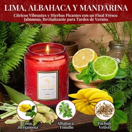Nasjac Velas Aromaticas Vela Cera de Soja (7oz), Velas Perfumadas 100% Natural, Vela Lavanda/Rosa/Ámbar 200g, Para Relajantes Y Meditación, Regalo para Mujer Regalo Día de la Madre, Regalos de Navidad