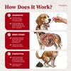 PawMergency – Activated Charcoal First Aid Kit Emergency Rescue for