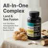 ACAPPELLA Ashwagandha Capsule with Black Seed Oil Capsules Sea Moss