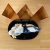 Yakushigama 2024 Chinese Zodiac Dyeing Nishiki Fortune Tatsu (Blue Dragon,