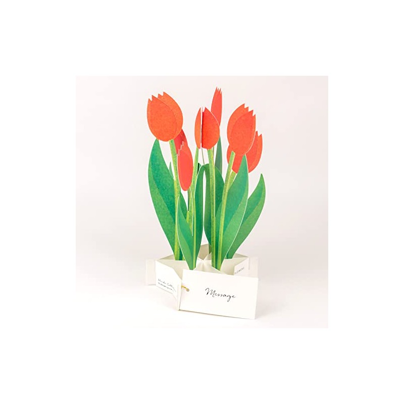 GreetingLife Greeting Life Blooming Card Tulip KE-36