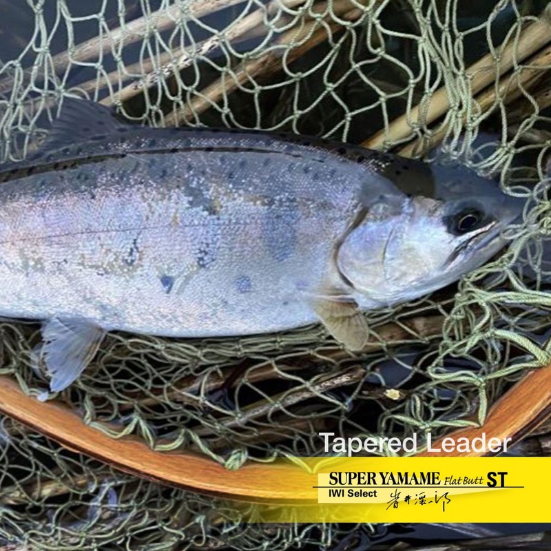 Barivas 73 TL Super Yamame Flat Bat ST 15ft 6X