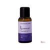 Seller Buddy W01 The Herb Story Essential Oil Lavender Aroma 30ml cde057 / 더허브스토리 에센셜오일 라벤더 아로마 30ml cde057