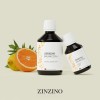 Aceite Zinzino Balanceoil+ 300ml