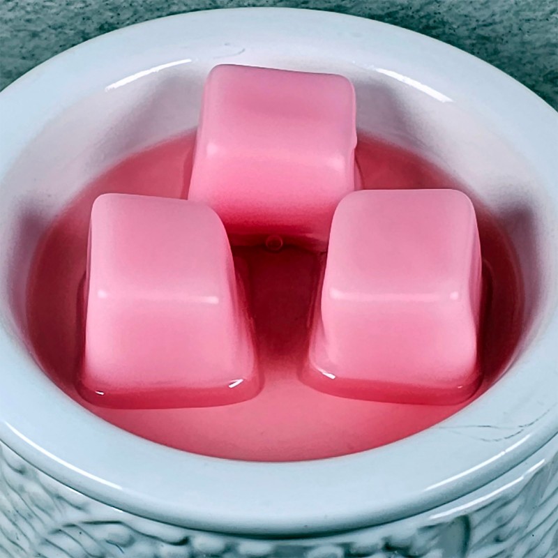 Ohana Scents Iridescent Wax Melts