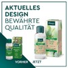 Kneipp Eukalyptus Birke Sauna-Aufguss, 100 ml Solution