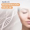 Aceite Germen De Trigo Puro Para Piel Y Crecimiento Cabello