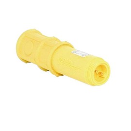 Woodhead 55501 Two Pole Swinger Switch