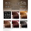 Refine Head Spa Color Treatment R4 10.6 oz (300 g)