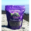 Dried Black Mulberries | 16 oz (1 LB) 454 g