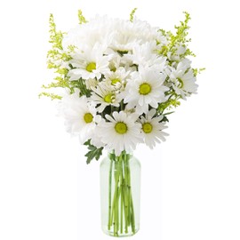 DELIVERY by Fri, 02/09 Guaranteed IF Order Placed by 02/08 Before 2PM EST.KaBloom Valentine's Bountiful Beauty Bouquet of Fresh White Daisies with Vase