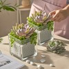 CONNOO 6 Pack Square Glass Vase 5" x 5" x