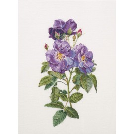 Thea Gouverneur - Kreuzstich-Set - Blaue Rosen Rhapsodie - Aida - 18 Count - Für Erwachsene - 413A