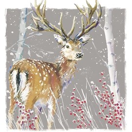 GBCC Charity Christmas Cards Pack of 6 - Charity Christmas Cards 2024 with Stag and Silver Birch Design - Eco-Friendly Xmas Cards Multipack with Envelopes