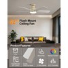 Homlit 42 inch RGB Ceiling Fan with Light, Voice &