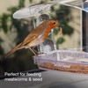 Window Bird Feeders with Strong Suction Cups - Jacobi Jayne®