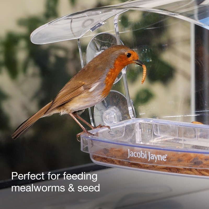 Window Bird Feeders with Strong Suction Cups - Jacobi Jayne®