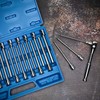 Neiko 10079A Extra Long Allen Hex Bit Socket Set, 18