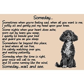 Black Poodle Dog Memorial pet loss Fridge Magnet Gift - Someday