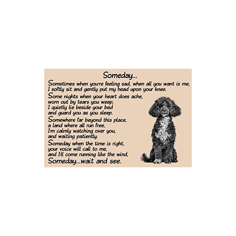 Black Poodle Dog Memorial pet loss Fridge Magnet Gift -