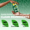 MEGNETA para Detox & Cleanse Gummis, Black Walnut, Wormwood, Clove,