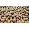 Macadamia Nuts - In shell (whole) (2 LB)