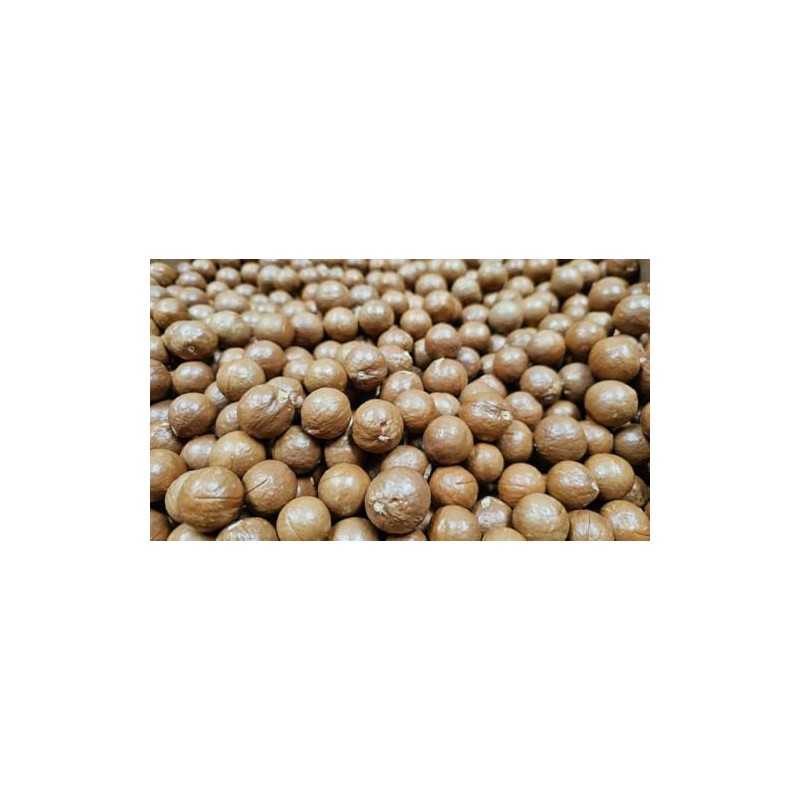 Macadamia Nuts - In shell (whole) (2 LB)