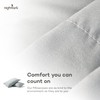 Night Lark - Pillowcase Pair - Plain Dye Collection -
