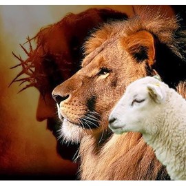 Cross Stitch Kits Religion Jesus Lion and Lamb 38x38cm for Adult Beginners ，11CT Pre-Printed Fabric Embroidery Crafts Needlepoint Kit for Home Decor and Gifts