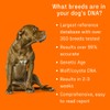 DNA MY DOG - Premium Test – Trusted & Affordable
