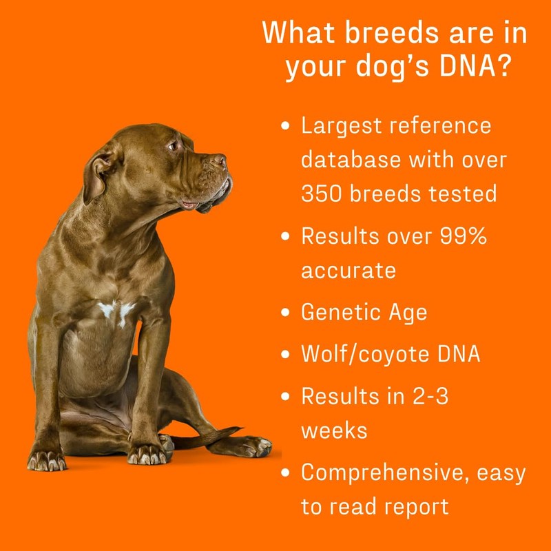DNA MY DOG - Premium Test – Trusted & Affordable