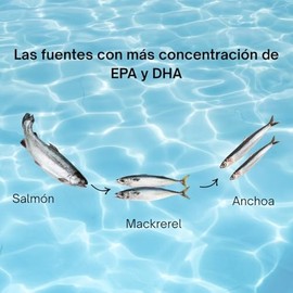 Omega 3 con vitamina D. ANANDA NUTRICION - Suplemento certificado de origen Islands. Alta concentracin de EPA y DHA Sin rellenos. 100 cpsulas.        