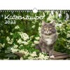 Katzenzauber DIN A4 Calendar for 2022 Cats and Cats Seelenzauber