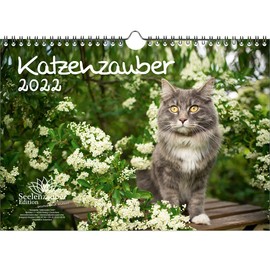 Katzenzauber DIN A4 Calendar for 2022 Cats and Cats Seelenzauber