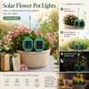 Solar Garden Lights for Outdoor Décor – 2 Pack Firefly