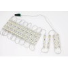 LEDUPDATES 20ft FLASHING STOREFRONT WINDOW White 5050 LED LIGHT Module