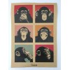 Chimps Poster Funny Monkey Faces Animal Posters