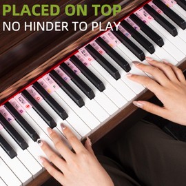 ZHRUNS Removable Piano Key Stickers - 61 Key Glow-in-The-Dark Keyboard Labels for Beginners, Silicone Note Stickers with Storage Box (Pink)