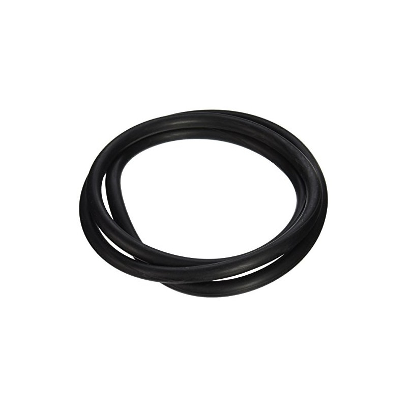 Pentair 152127 18-Inch O-Ring Tank Replacement Nautilus Pool and Spa