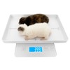 MINDPET-MED Digital Pet Scale for Small Animal, Whelping Scale,Mini Precision